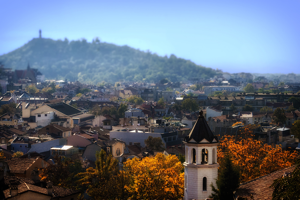 bulgaria The Socialites