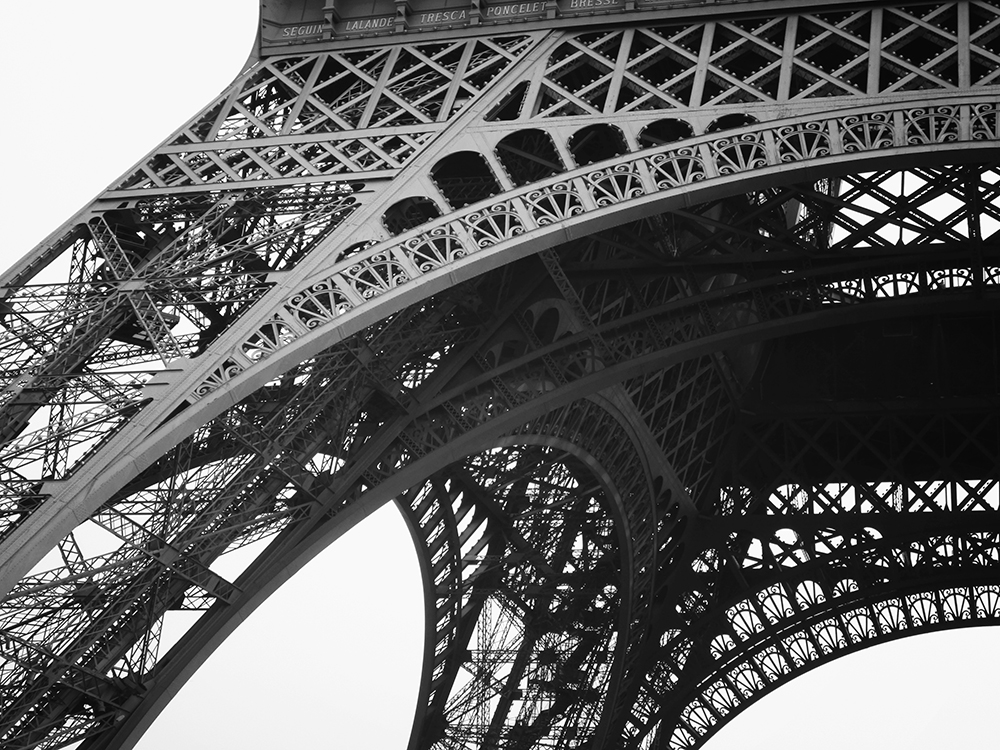 france 1 The Socialites
